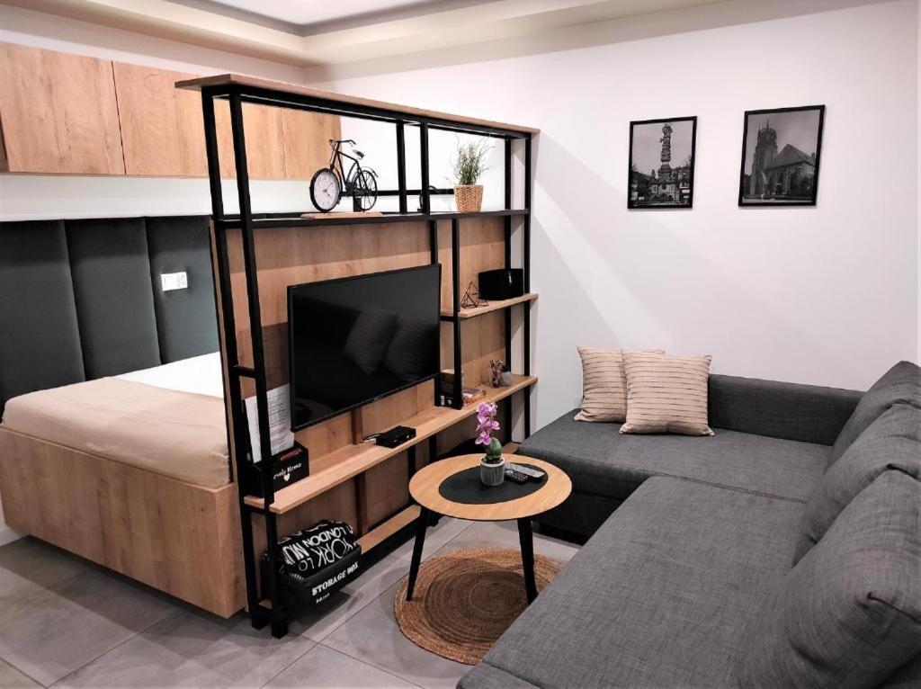 Apartamenty Marianska 103 Raciborz Ngoại thất bức ảnh